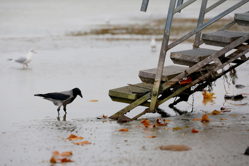 Kibillent a Balaton a viharos szélben